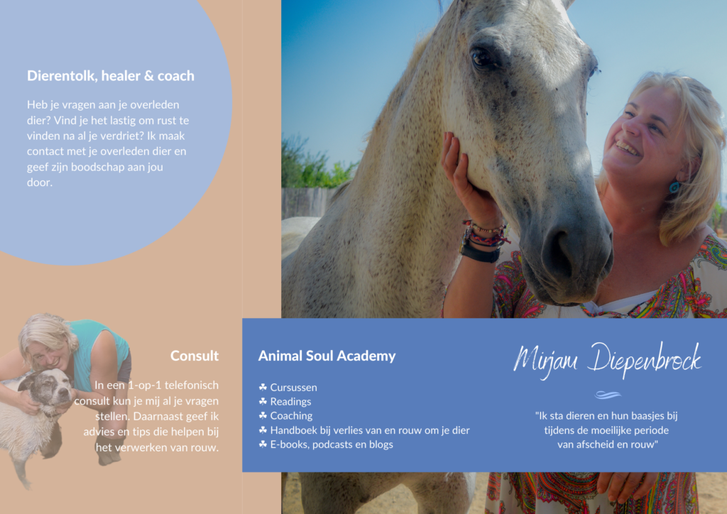 Vormgeving brochure