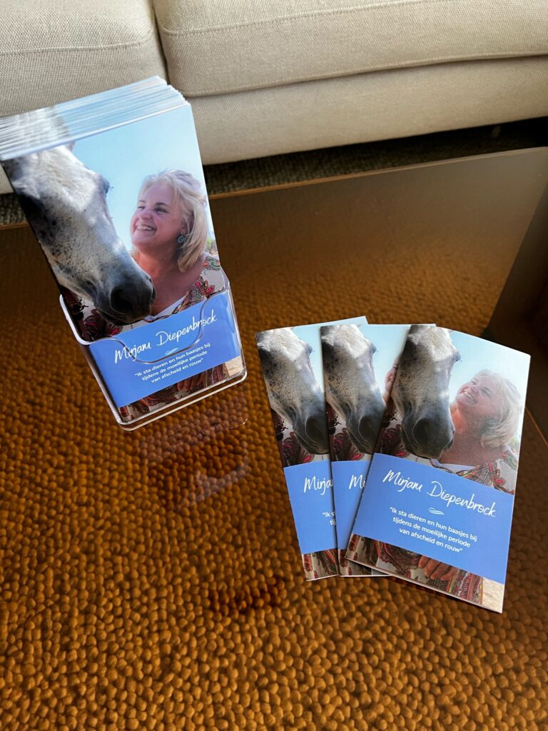 Vormgeving brochure