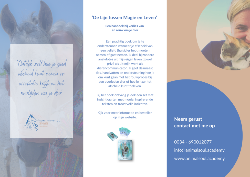 Vormgeving brochure