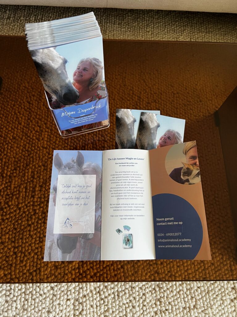 Vormgeving brochure