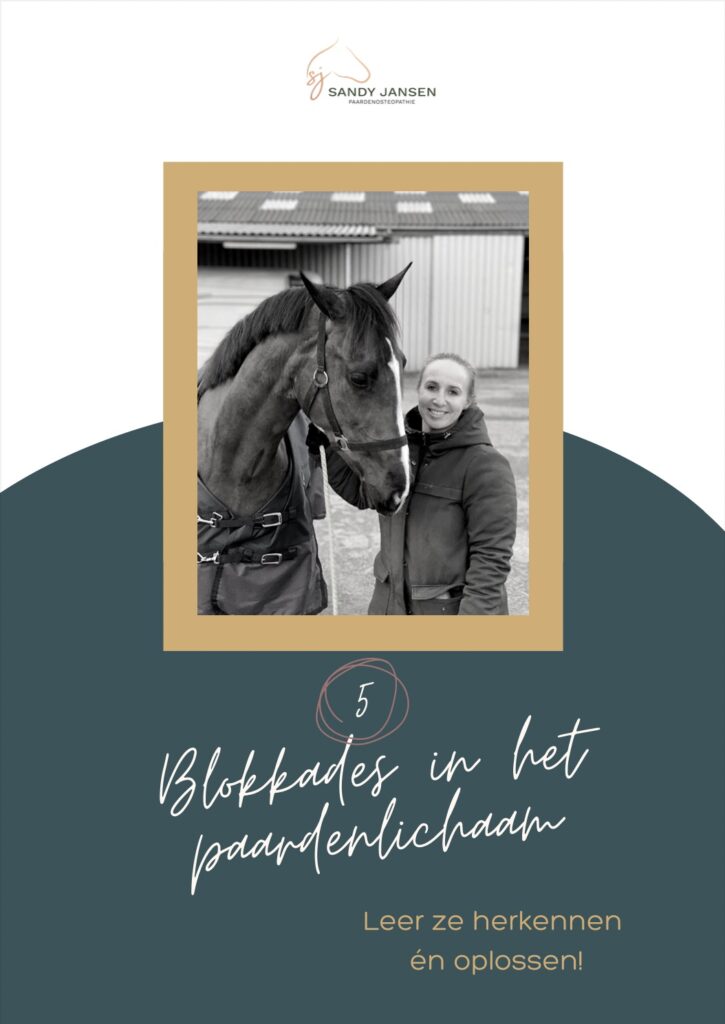 Vormgeving teksten e-book gratis weggever