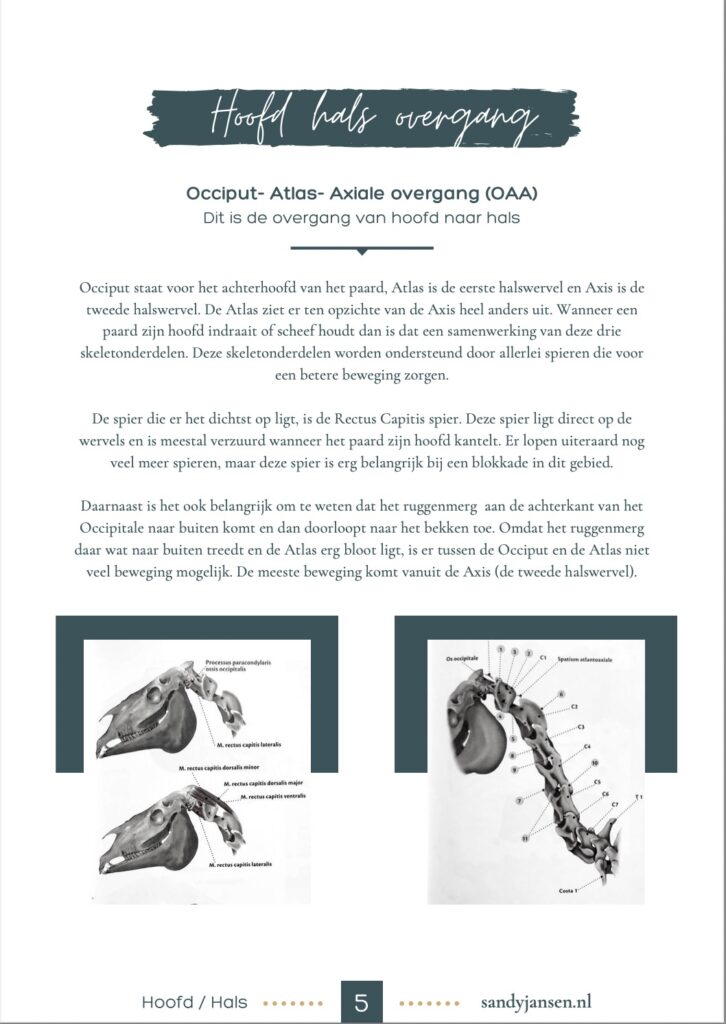 Vormgeving teksten e-book gratis weggever