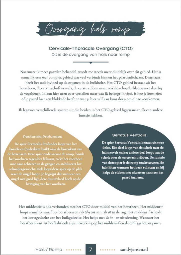 Vormgeving teksten e-book gratis weggever