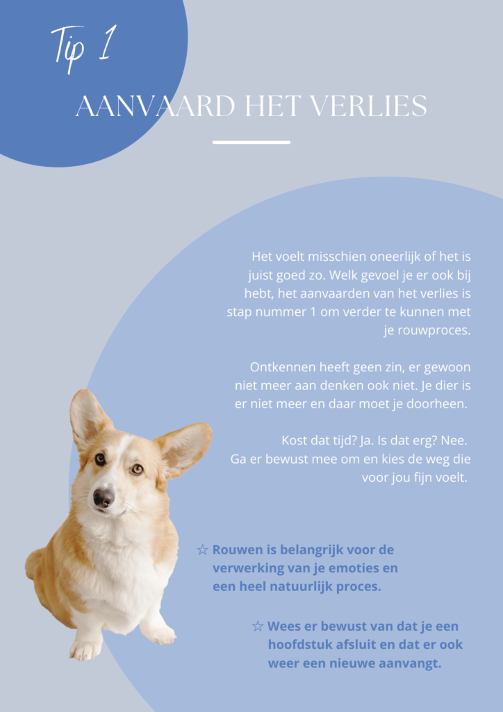 Vormgeving teksten e-book gratis weggever