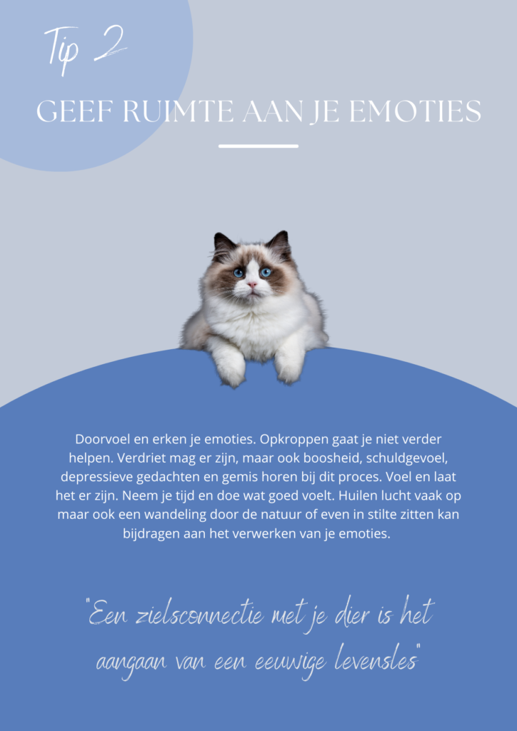 Vormgeving teksten e-book gratis weggever