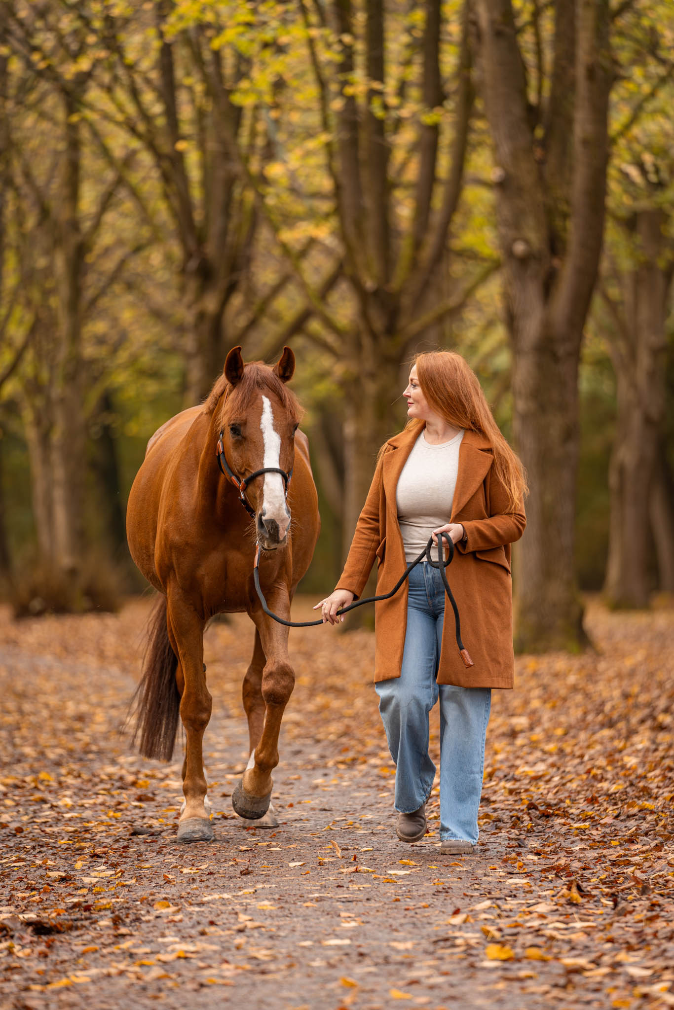 Studio Equine online marketing business partner hippische ondernemers